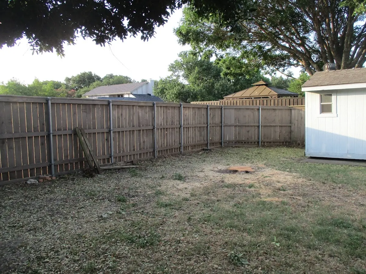 Cleared yard after professional tree removal in Gwynn Oak